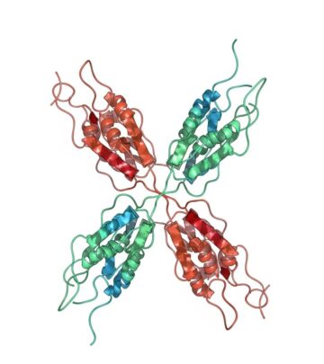 Rare autoinflammatory disorder causing recurrent fevers, rashes, abdominal pain, and lymph node enlargement from infancy.